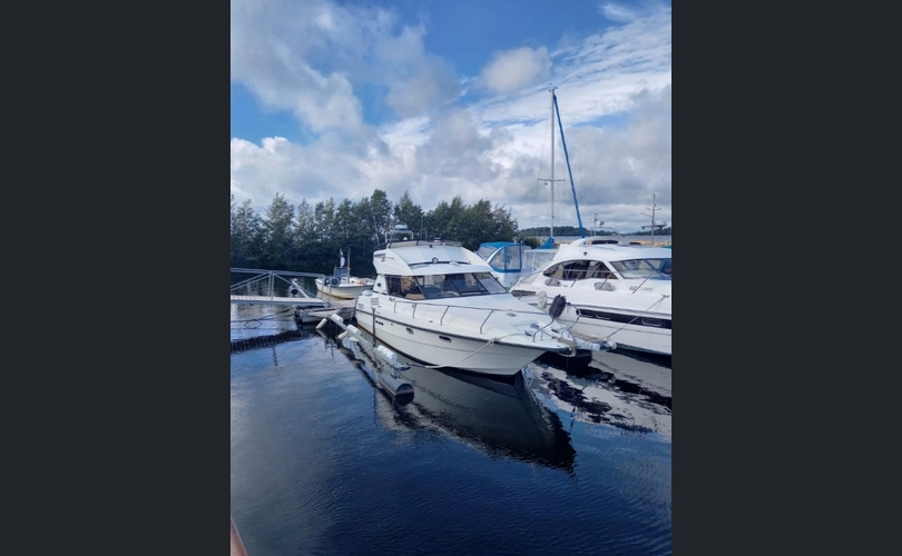 Marino Barracuda Fly-kuva-1